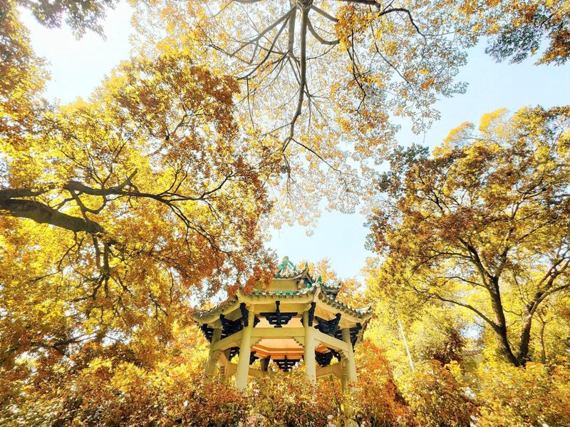 太原旅行社