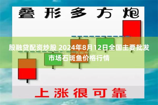 股融贷配资炒股 2024年8月12日全国主要批发市场石斑鱼价格行情