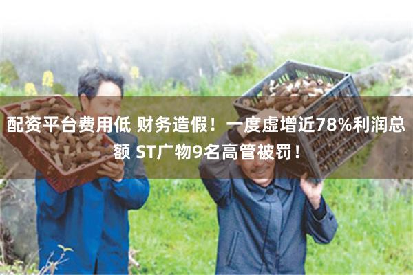 配资平台费用低 财务造假！一度虚增近78%利润总额 ST广物9名高管被罚！