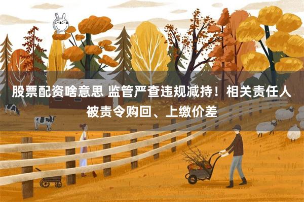 股票配资啥意思 监管严查违规减持！相关责任人被责令购回、上缴价差
