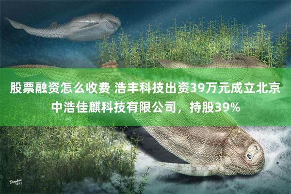 股票融资怎么收费 浩丰科技出资39万元成立北京中浩佳麒科技有限公司，持股39%