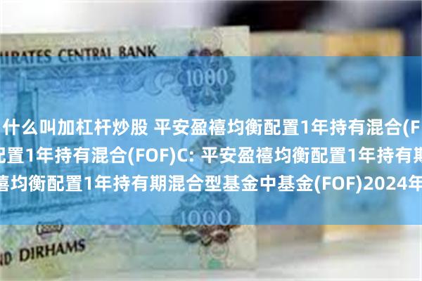 什么叫加杠杆炒股 平安盈禧均衡配置1年持有混合(FOF)A,平安盈禧均衡配置1年持有混合(FOF)C: 平安盈禧均衡配置1年持有期混合型基金中基金(FOF)2024年年度报告
