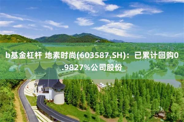 b基金杠杆 地素时尚(603587.SH)：已累计回购0.9827%公司股份