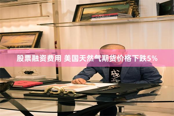 股票融资费用 美国天然气期货价格下跌5%