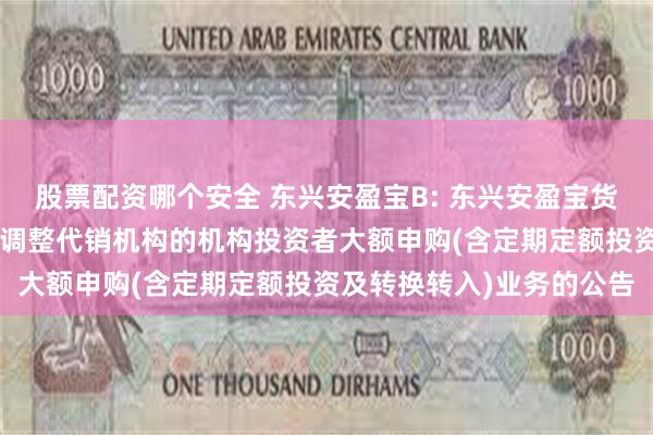 股票配资哪个安全 东兴安盈宝B: 东兴安盈宝货币市场基金B类基金份额调整代销机构的机构投资者大额申购(含定期定额投资及转换转入)业务的公告