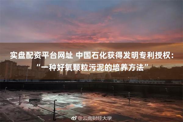 实盘配资平台网址 中国石化获得发明专利授权：“一种好氧颗粒污泥的培养方法”