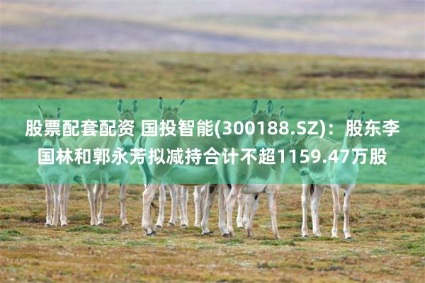 股票配套配资 国投智能(300188.SZ)：股东李国林和郭永芳拟减持合计不超1159.47万股