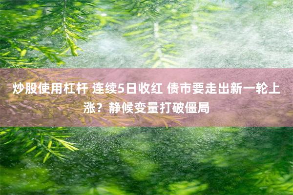 炒股使用杠杆 连续5日收红 债市要走出新一轮上涨？静候变量打破僵局