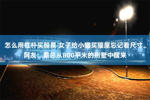 怎么用杠杆买股票 女子给小猫买猫屋忘记看尺寸。网友：霸总从800平米的别墅中醒来