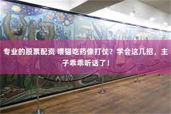专业的股票配资 喂猫吃药像打仗？学会这几招，主子乖乖听话了！