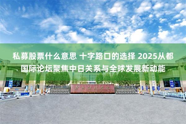 私募股票什么意思 十字路口的选择 2025从都国际论坛聚焦中日关系与全球发展新动能