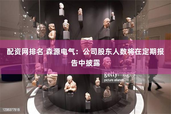 配资网排名 森源电气：公司股东人数将在定期报告中披露